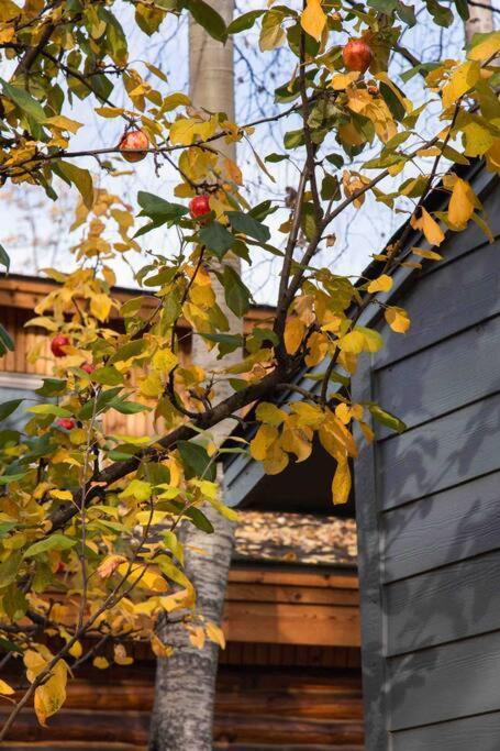 Ferienwohnung Fireweed Gardens In Roger'S Park Anchorage Exterior foto